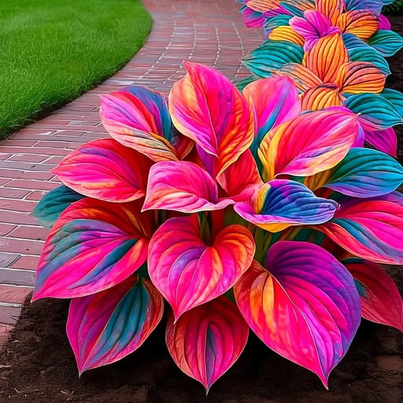 /69b8626adf84f8000ad04dea/2026/04/14/product-img-69ddee0cf707c0639afa4a3b.png